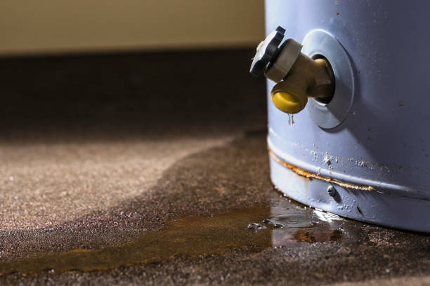 Seal Beach, CA Water damage restoration Company