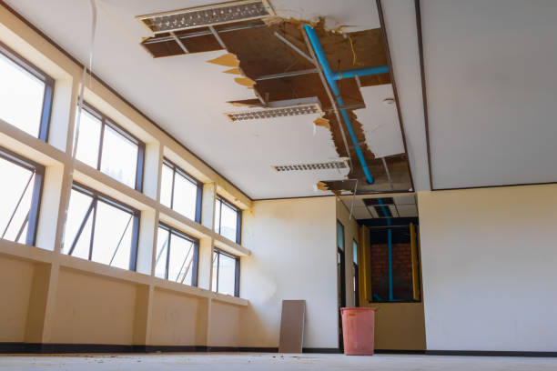  Seal Beach, CA Water damage restoration Pros