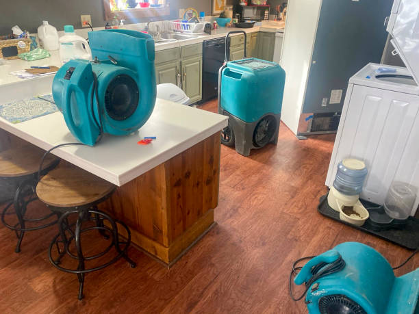 Best Mold removal after water damage  in Seal Beach, CA