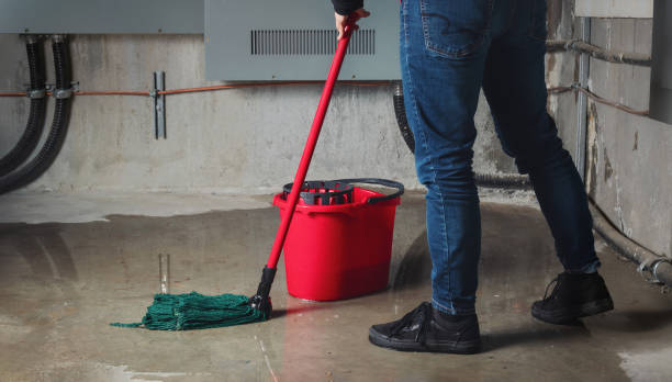 Best Water damage restoration near me  in Seal Beach, CA