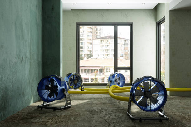 Best Water damage restoration insurance claims  in Seal Beach, CA